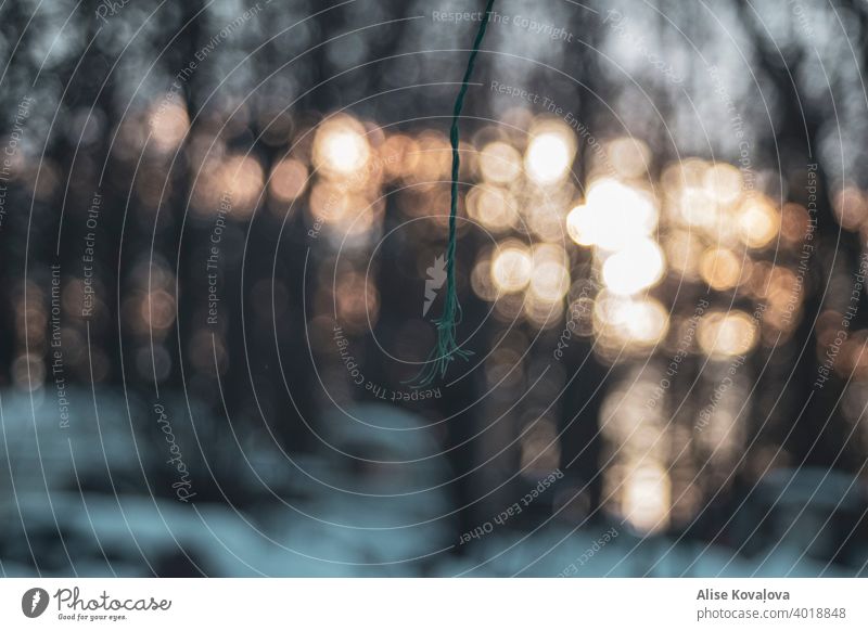 thread in a light Light Tree sunset green thread String Green Close-up Colour photo Hanging broken misplaced