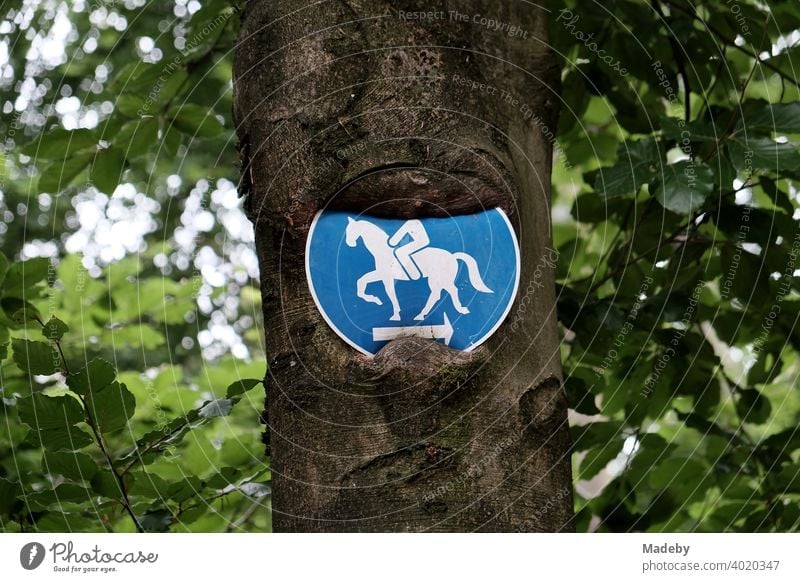 A road sign warns of the headless horseman at the Hermannsweg near Oerlinghausen in the Teutoburg Forest in East Westphalia-Lippe Rider on horseback Sign
