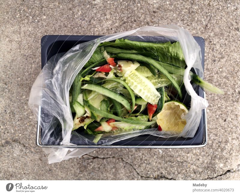 Vegetable waste as organic waste in a plastic bag in a rectangular bucket on stone floor on a farm near Rottenbuch in the district of Weilheim-Schongau in Upper Bavaria
