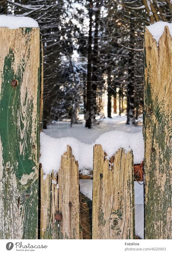 Behind this old weathered fence lies the snowy winter wonderland winter landscape Winter Snow White Cold Nature Landscape Snowscape Winter mood Winter's day