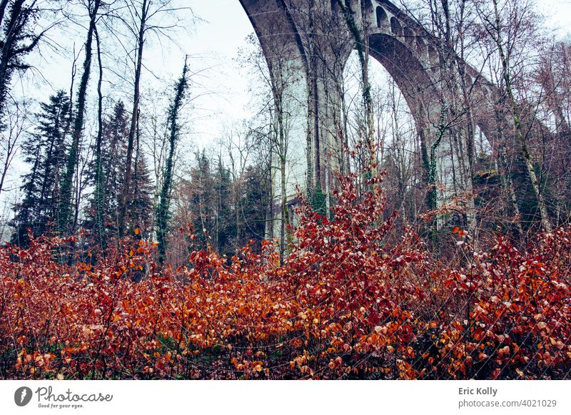 The Grandfey bridge from below on a foggy day Fribourg Switzerland Swiss Europe European Fog Foggy landscape Gloomy gloom gloomy atmosphere gloominess Bridge