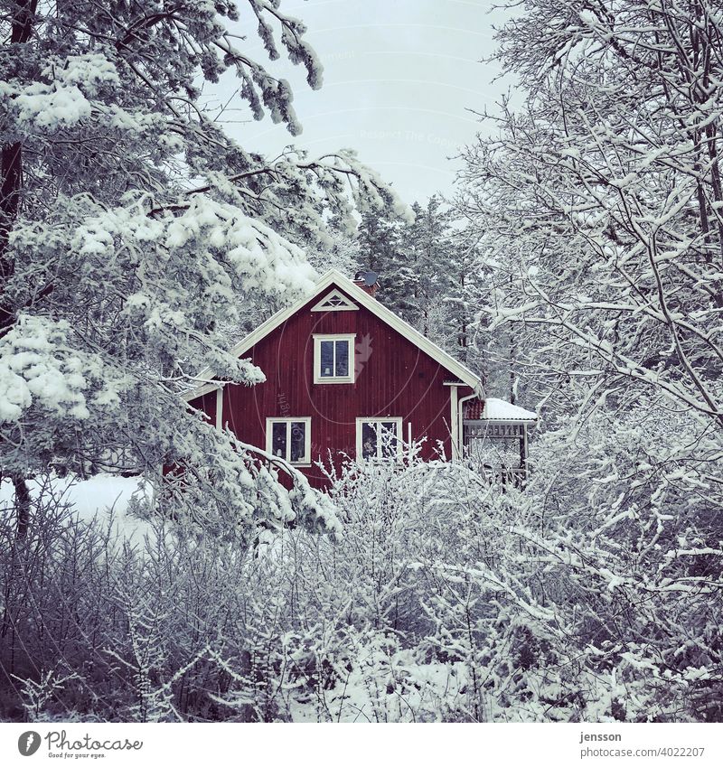 Red swedish house in the snow Winter Winter mood winter Winter's day Wood Wooden house Swede Swedish house Swedish red Snow White snow-covered Scandinavian