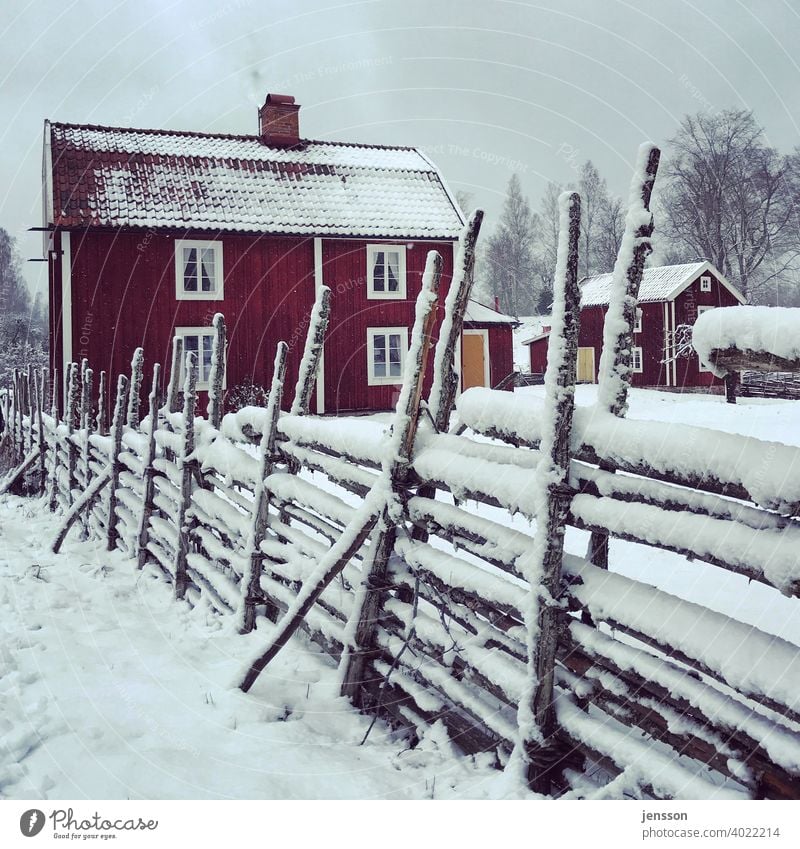 Winter in Sweden Swedish house Fence Wood Smaland Scandinavia Scandinavian Snow Winter mood Calm snowy Dreamily Snowscape Cold Winter's day Freeze