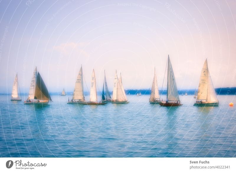 Sailing boats on Lake Constance in a romantic atmosphere (soft focus) sailboats sailing Sports Aquatics Water Body of water Germany Baden-Wuerttemberg Ocean