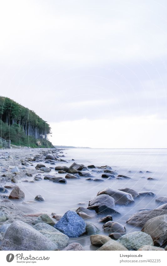 Baltic coast Beach Ocean Waves Environment Nature Landscape Sand Water Sky Clouds Autumn Wind Plant Tree Forest Coast Baltic Sea Stone Wood Fresh Together Cold