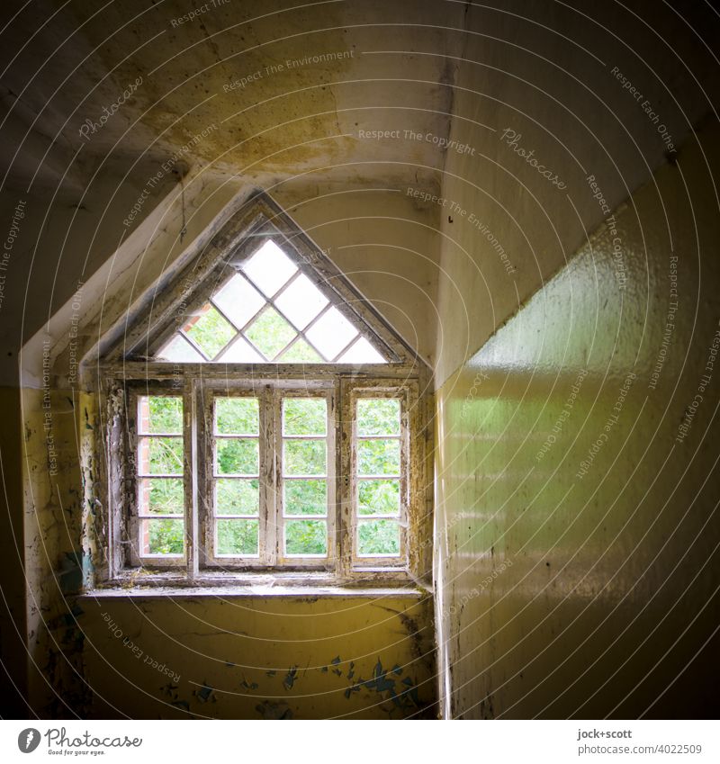 Window reflected in the lost space lost places Architecture Ravages of time Derelict Apocalyptic sentiment Structures and shapes Reflection Ruin Symmetry Style