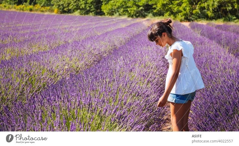Cute happy girl watching the flowers in a lavender field in summer child kid fun joy Provence France nature vacation landmark people one Europe tourism tourist