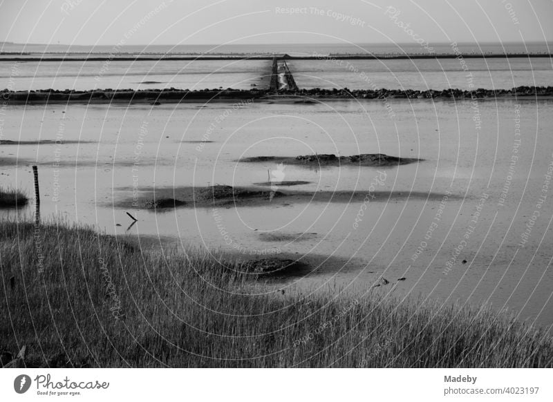 The Wadden Sea World Heritage Site in Bensersiel near Esens in East Frisia on the coast of the North Sea, photographed in classic black and white