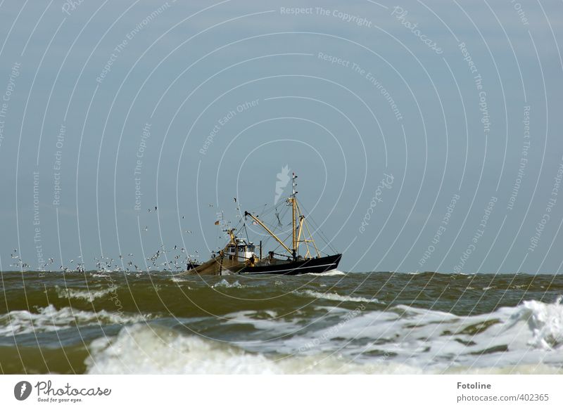 Ahoy there! Environment Nature Elements Water Waves North Sea Ocean Navigation Fishing boat Watercraft Cool (slang) Cold Wet Crab cutter Seagull Flock of birds