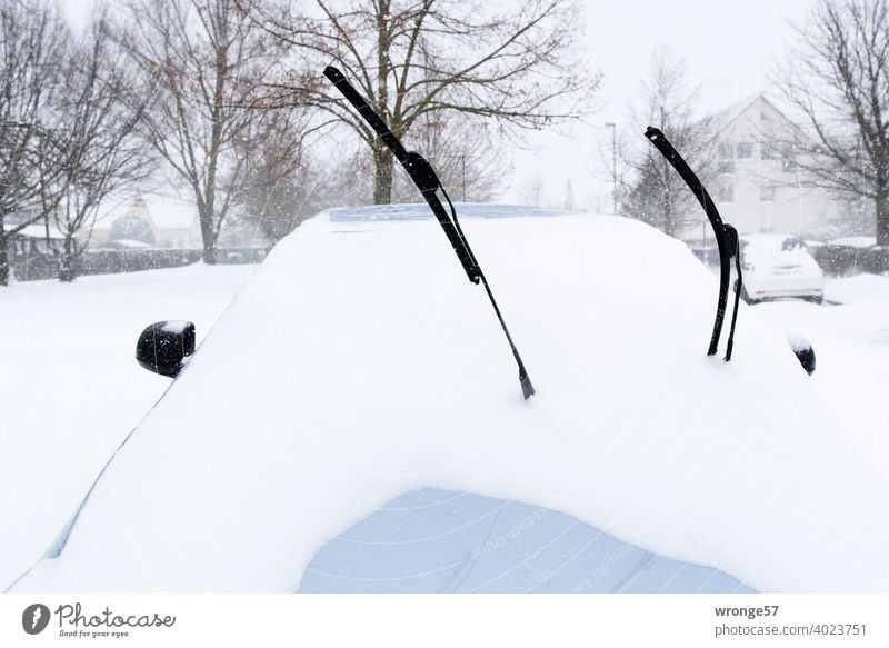 2 cut off windshield wipers sticking out of a car covered with snow Windscreen wiper Snow Winter snow-covered chill folded down Cold Winter mood Winter's day