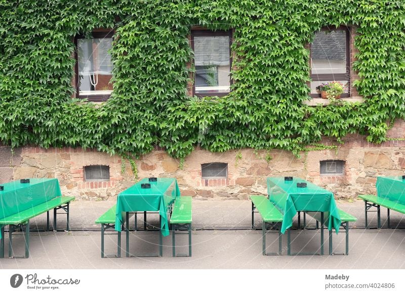 Green beer set with tablecloths made of oilcloth in front of old green facade at the Golden Oldies in summer in Wettenberg Krofdorf-Gleiberg near Giessen in Middle Hesse