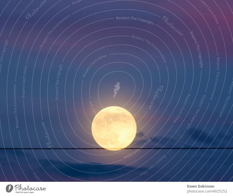 Full Moon appearing to balance on a wire in a twilight sky Full  moon Exterior shot Sky Evening Blue Colour photo Nature wispy clouds round Landscape Moonlight