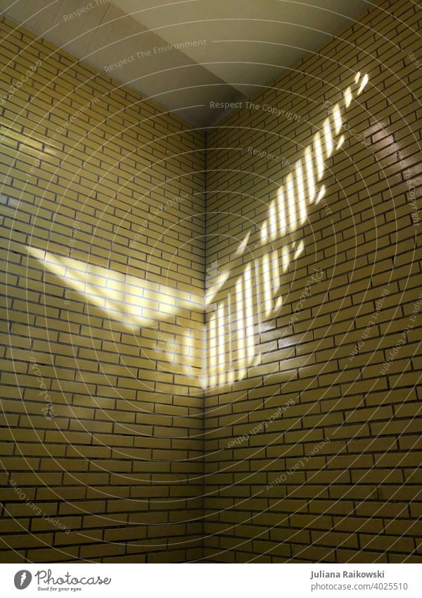 Light on the yellow tiled wall Light and shadow Subway Shadow Deserted Colour photo Berlin Capital city Contrast Sunlight Architecture Facade Manmade structures