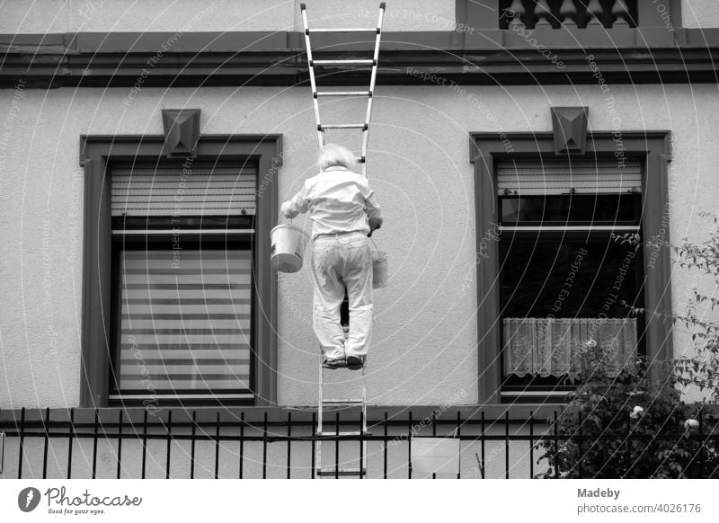 Master painter with white hair and bucket on the ladder at the facade of an old building in the north end of Frankfurt am Main in Hesse, photographed in classic black and white