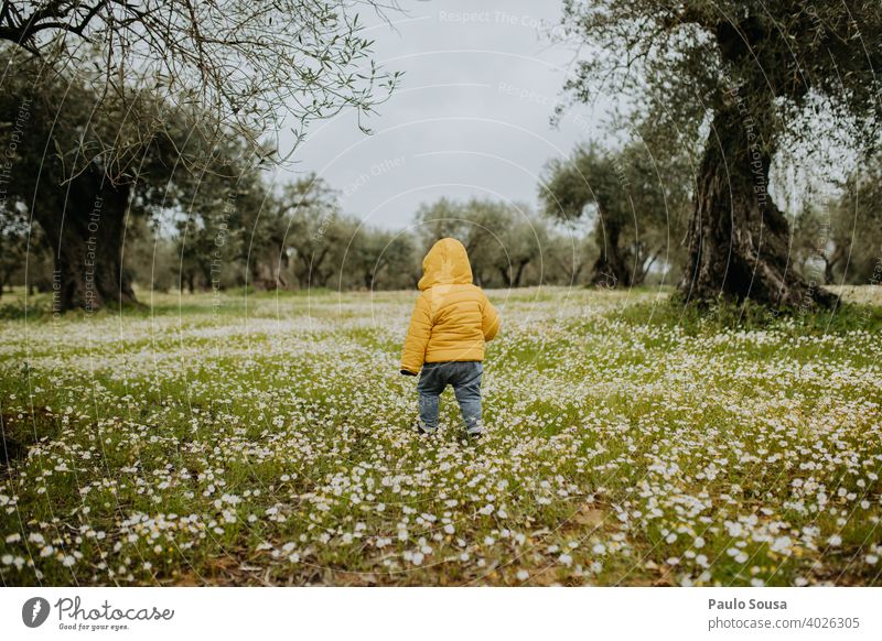 Rear view toddler walking through spring flowers field Toddler Child childhood Yellow Spring Spring fever Spring flower Flower Flower field Day Green Blossoming