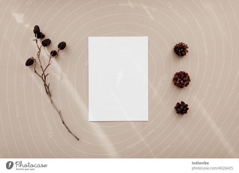 Modern stationery still life with pine cones. Long shadows and closeup of blank greeting card mock up scene. Beige table background in sunlight. Flat lay, top view.