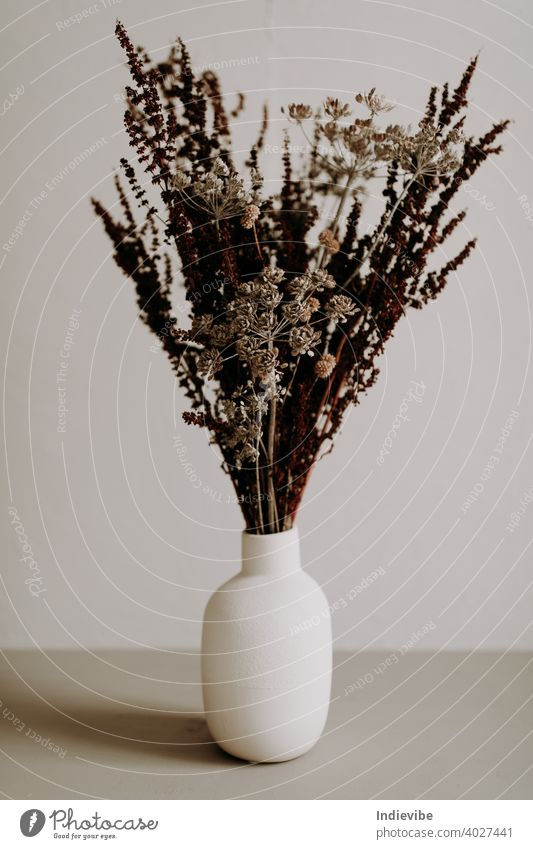 Light dried hydrangeas in a glass vase - a Royalty Free Stock Photo from  Photocase