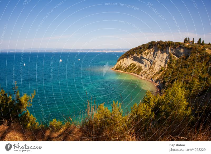 Strunjan cliff on the Coast linę of Slovenia. strunjan slovenia adriatic sea travel summer bay beach shore simplicity horizontal see vivid effortless recreation