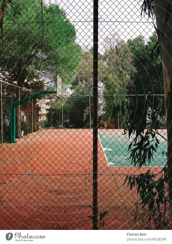 Fenced sports field with the possibility to play basketball and tennis surrounded by trees Sports Sporting grounds Ball sports Playing Playing field Places Line