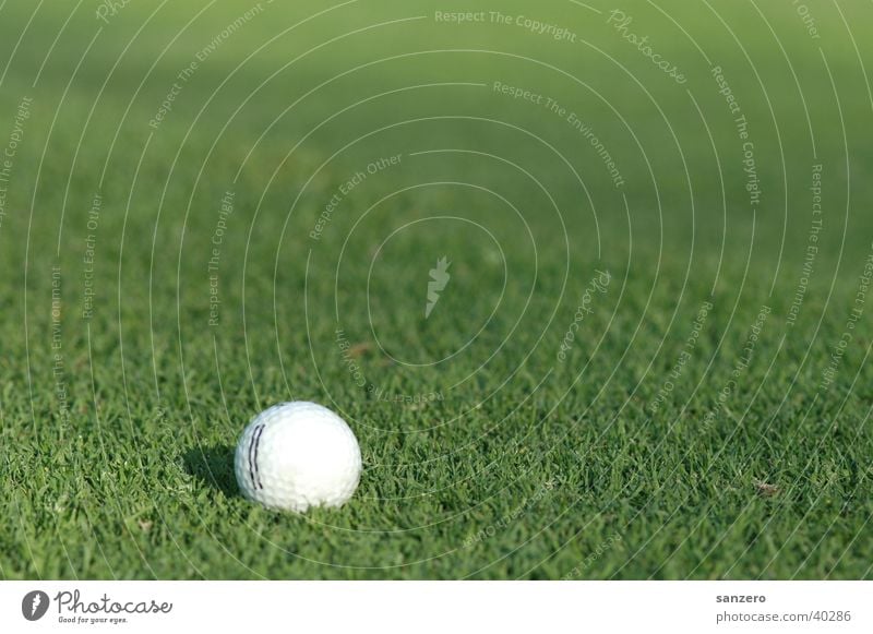 golf ball Golf ball Grass surface Sports