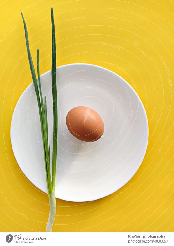 Scallion Onion and egg on white plate against yellow background Food Lunch Still Life flat lay Snack concept minimal Vertical Fresh Healthy Dish Modern art