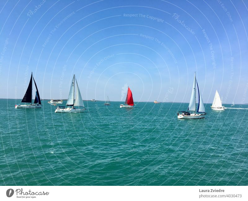 Boat race boat race day sea water sky nature Sports Speed Competition Lifestyle outdoors Sailing Sailboat adventure vessel wind yacht ocean vacation cruise sail