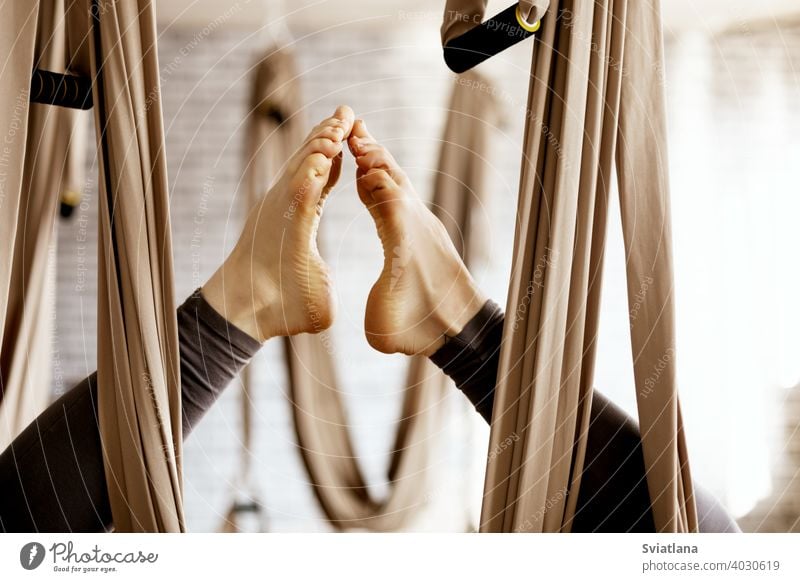 Close-up of a woman's legs in a hammock doing aerial yoga exercises in the gym close female lifestyle balance fit sport fitness young body active health healthy
