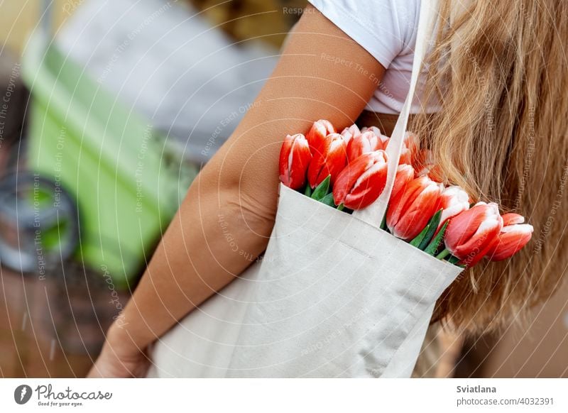 Close-up of a bouquet of tulips in a cloth bag on the shoulder of a girl. Gift for Women's Day, Valentine's Day, Mother's Day happy florist female red bunch