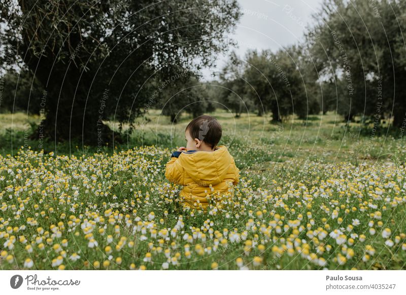 Rear view child sitting on flower meadow Spring Spring fever Spring flower Flower meadow Child Yellow Authentic 1 - 3 years explore Curiosity Environment Grass
