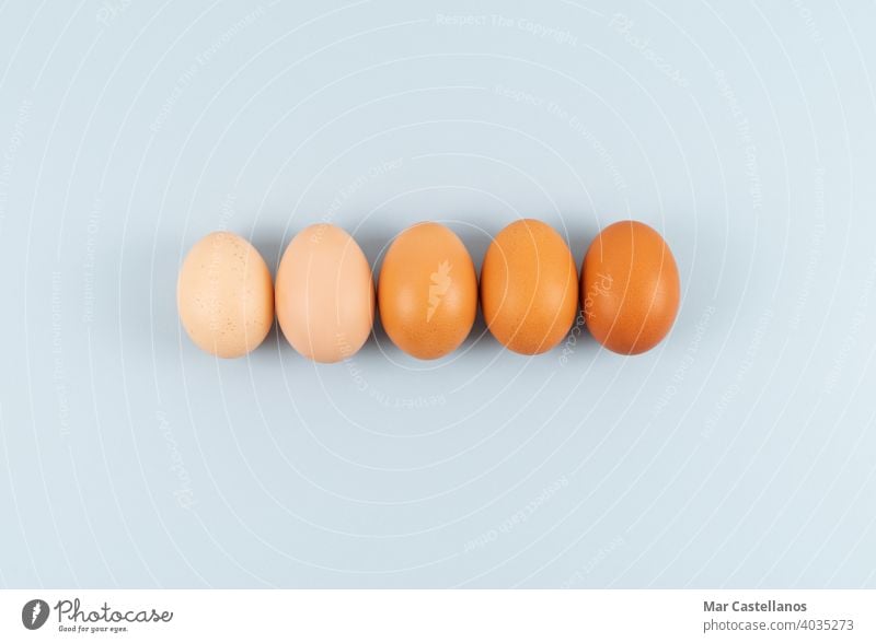 Eggs of different shades of color in a row on a blue background. Copy space. eggs easter copy space top view color shades kitchen food birds chicken holiday