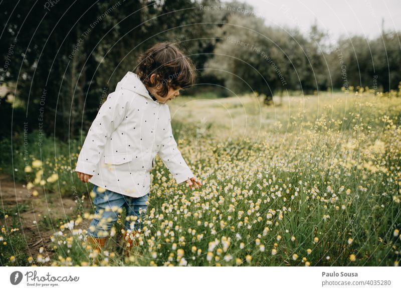 Cute girl picking spring wild daisies Daisy Spring Spring fever Spring flower Authentic Nature Plant Colour photo Blossom Blossoming Exterior shot Deserted