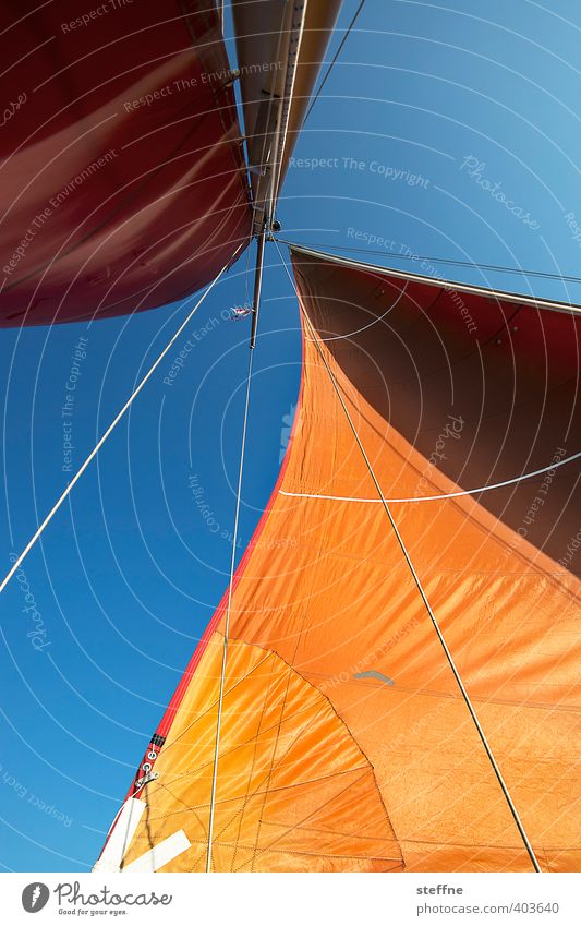 Sail to the weekend Navigation Boating trip Yacht Sailboat Sailing ship Adventure Relaxation Freedom Vacation & Travel Orange Colour photo