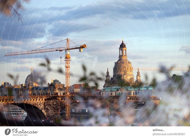 Spring on the banks of the Elbe in Dresden Frauenkirche Crane Augustusbrücke Construction site Elbufer Tourist Attraction Old town Saxony