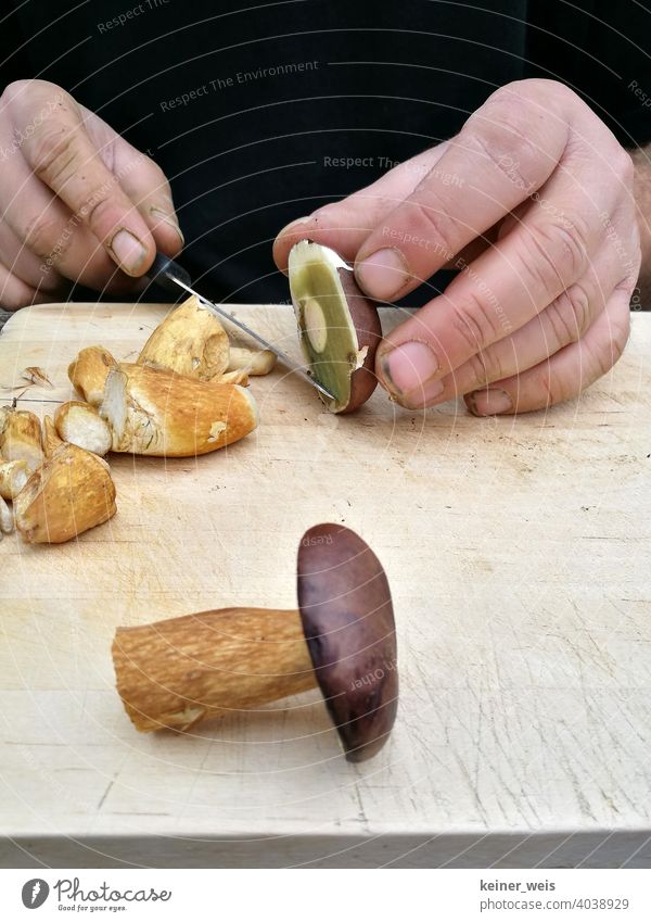 Dirty hands cut chestnut carrots with a knife for a delicious mushroom dish Chestnut boletus Mushroom mushrooms edible mushroom Knives Nature Autumn Edible Food