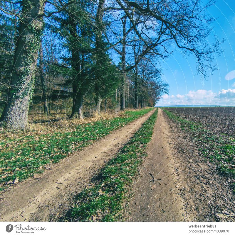Dirty farm road between a field to the right and trees to the left dirty dirt path way cycleway bikeway tranquility winter germany rural landscape agriculture