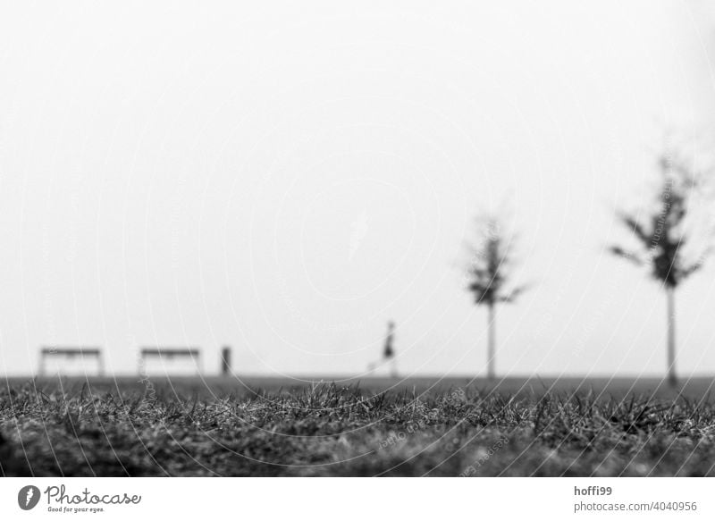 a blurry scene in the fog with bench, tree, joggering, jogger and trashcan Adults blurriness Jogger Walking Human being Movement Silhouette minimalism Fog