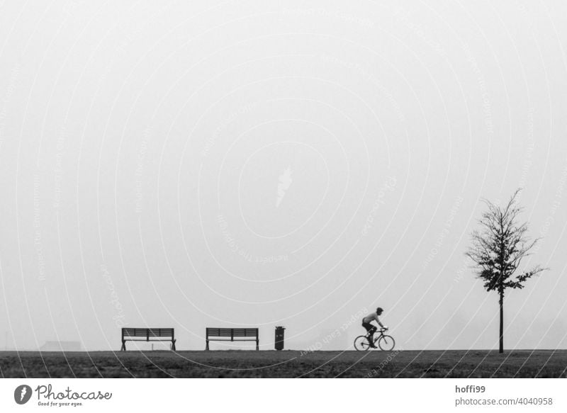 a scene in the fog with bench, tree, cyclist and garbage can Cycling Adults Bicycle Human being Movement Driving Silhouette minimalism Wheel Fog rubbish bin