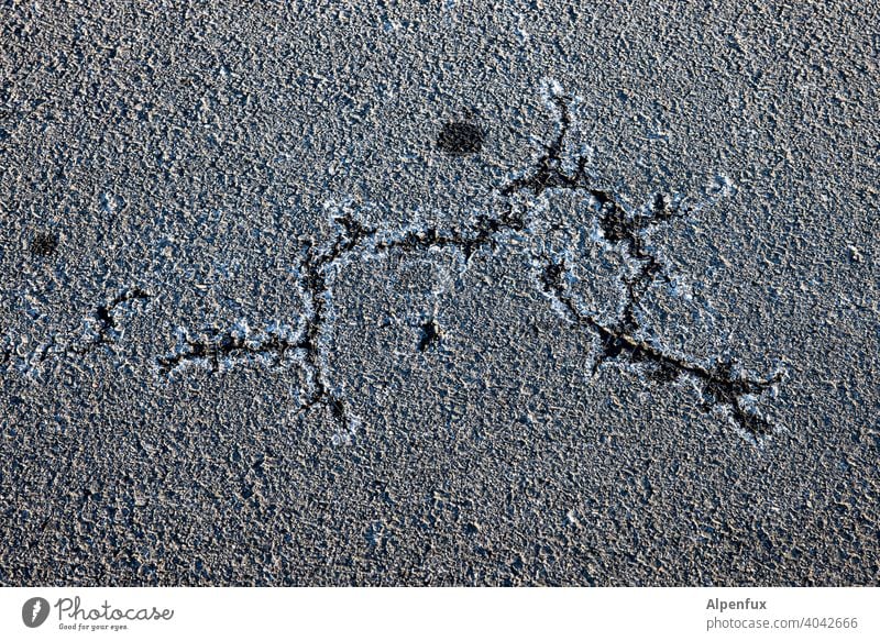Dorian Gray cracks cracks in the ground Exterior shot Deserted Structures and shapes Asphalt Close-up Old Detail Pattern Street Decline Broken Pavement