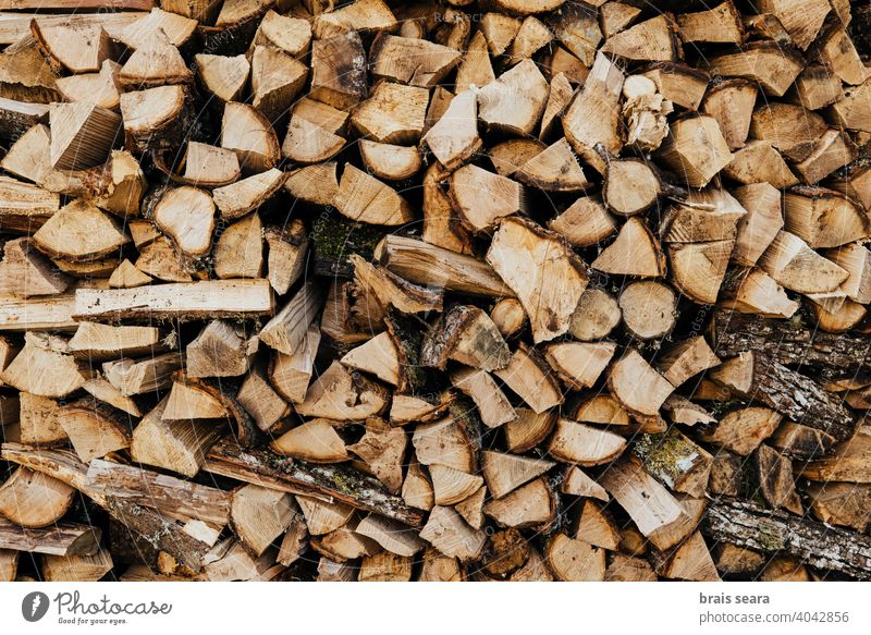 abstract of wood logs texture background, Stock image