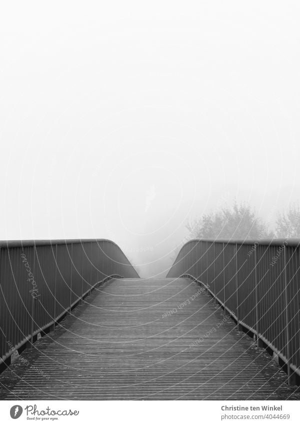 View over a bridge, the path disappears in the foggy nothingness Bridge pedestrian bridge off Pedestrian crossing Lanes & trails Fog Misty atmosphere trees