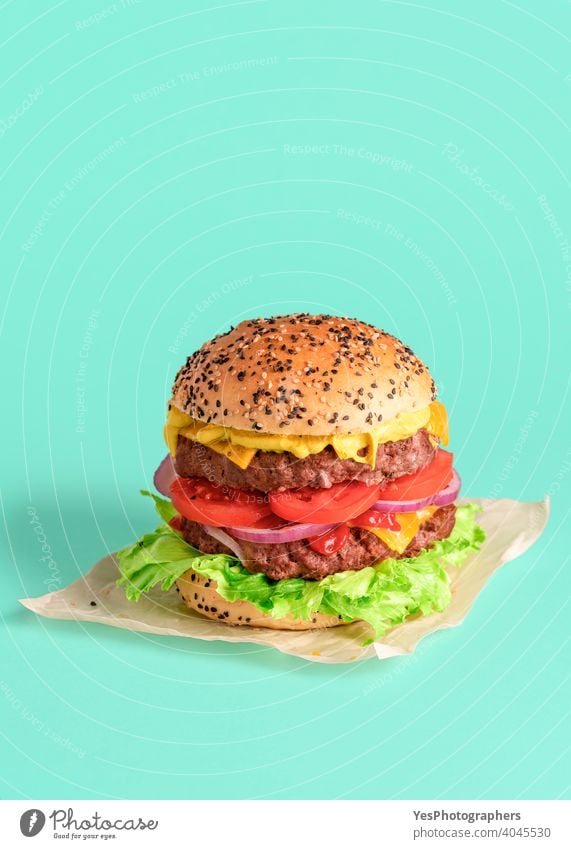 Homemade burger isolated on a green background. Beef patty burger. barbeque beef big bread bun cheddar cheese cheeseburger colored colors comfort food