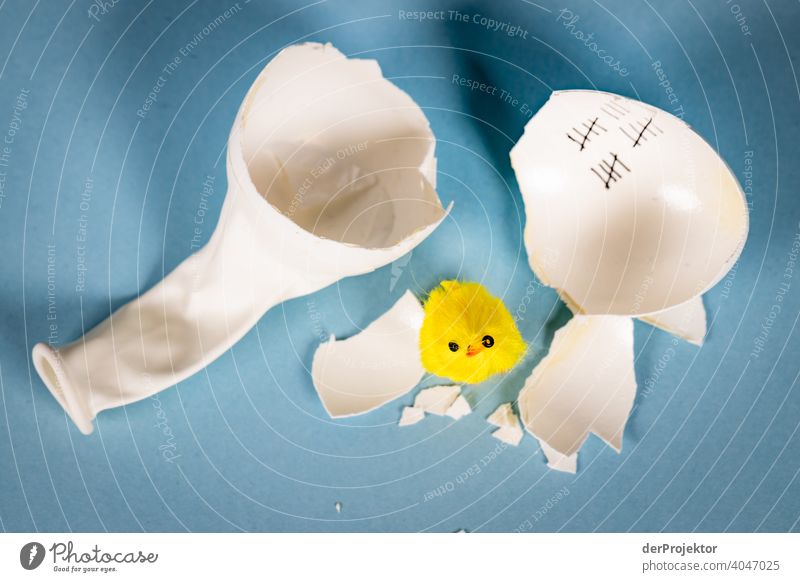 Broken open balloon(egg) with chicks Easter Easter eggs Easter Monday Easter gift Easter wish Easter weather Egg Decoration Feasts & Celebrations Spring