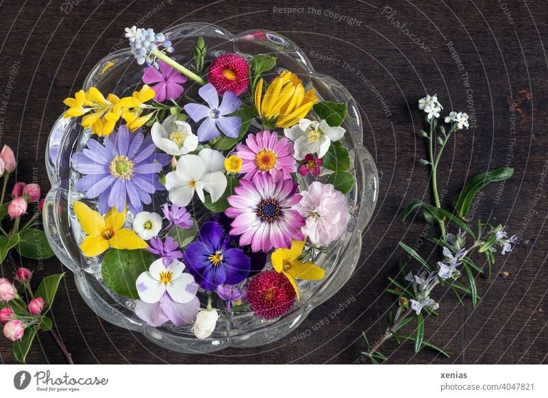 Springlike colourful potpourri with blossoms from the garden floats decoratively and fragrantly in a round glass bowl on a dark wooden background flowers