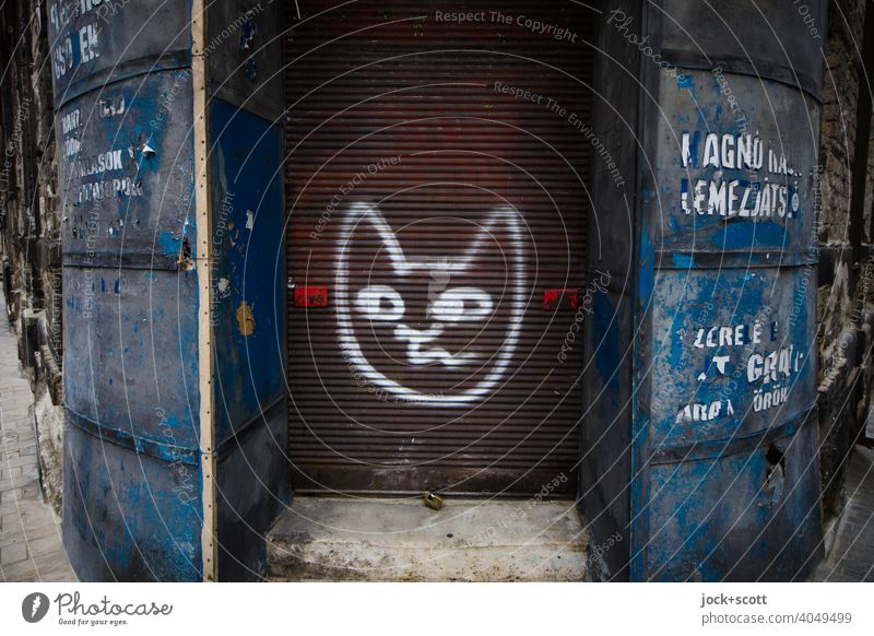 drawn cat head on the shutter of an abandoned shop business Closed forsake sb./sth. business discontinuation Corner Lettering Weathered Retro Spray Street art
