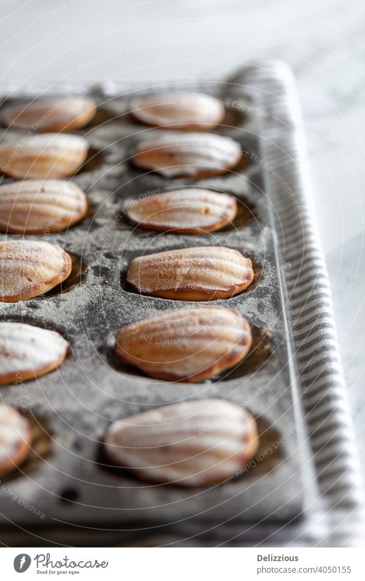 French Madeleines Recipe - Delizzious Food Fotografie en Styling