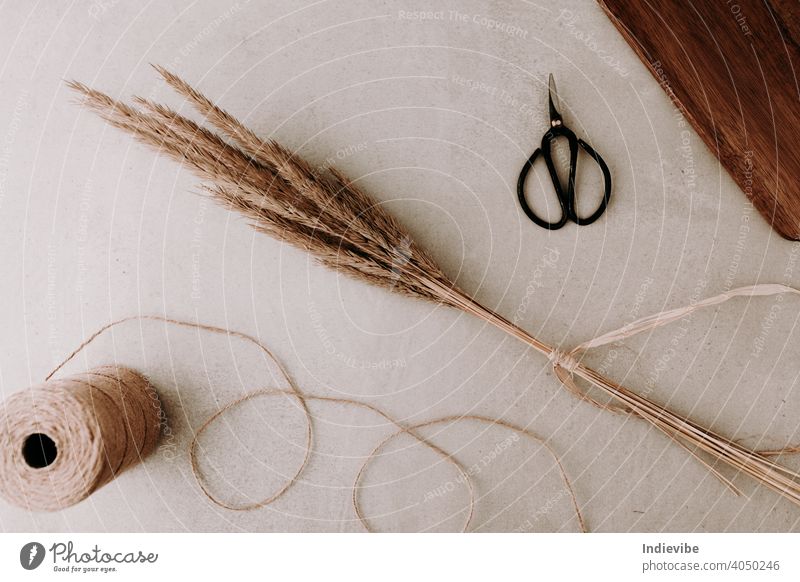 A bunch of dried grass tied with natural raffia and a black scissors and a roll of rope string on grey stone background.  Flat lay, top view. Natural colours.