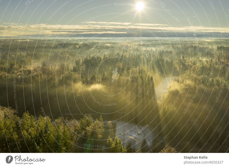 Wonderful foggy environmetal scenery - sunny aerial with the view over a wide forest, autumn moment in germany. crap nature Winter light landscape morning