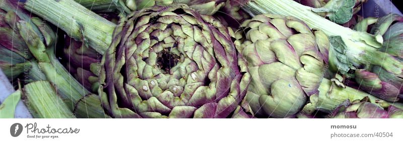 type shocking Fruit- or Vegetable stall Green artichoke Detail Nutrition Markets
