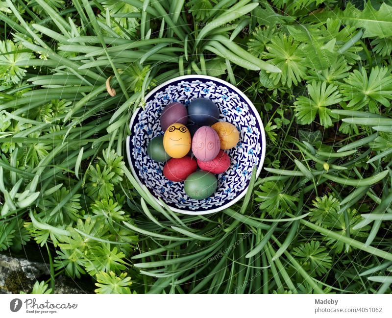 Colourful dyed Easter eggs in a patterned porcelain bowl in the green at Easter in Oerlinghausen near Bielefeld at the Hermannsweg in the Teutoburg Forest in East Westphalia-Lippe