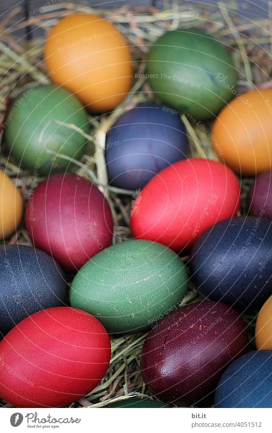 Colourful Easter eggs in the nest Easter Bunny Easter egg nest Easter Monday Easter wish Easter decoration Egg Eggshell variegated Painted Straw Nest Decoration